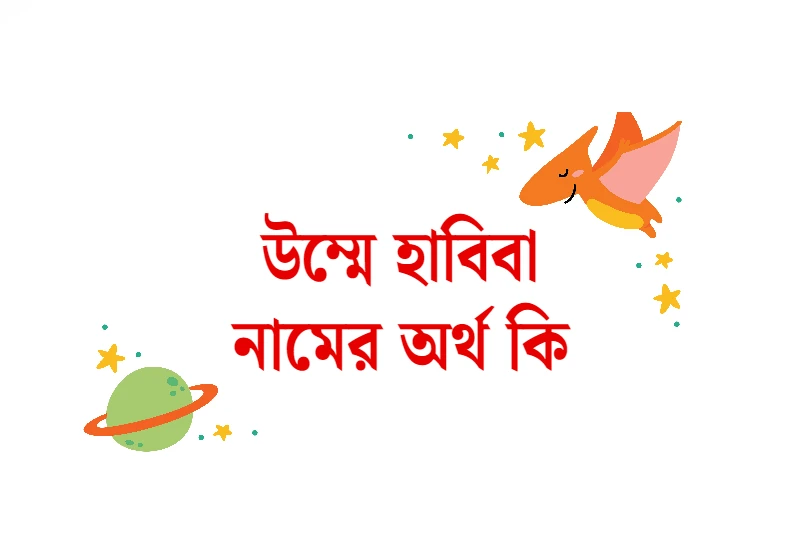 হাবিবা নামের অর্থ কি ? হাবিবা নামের অর্থ কি ? উম্মে হাবিবা নামের অর্থ কি