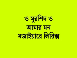 ও মুরশিদ ও আমার মন মজাইয়ারে লিরিক্স