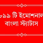 ৮৯৯ টি ইমোশনাল বাংলা স্ট্যাটাস।Emotional bangla status for facebook